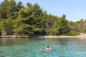 Zara:Ugljan, Frnaža,Galevac &Ošljak birra e acciughe gratis