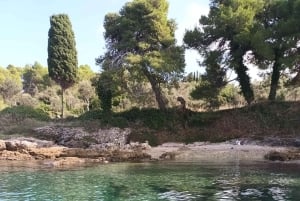 Zara:Ugljan, Frnaža,Galevac &Ošljak birra e acciughe gratis