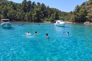 Zara:Ugljan, Frnaža,Galevac &Ošljak birra e acciughe gratis