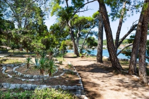 Zadar: Ugljan, Ošljak ja Preko – pikaveneretki saarille