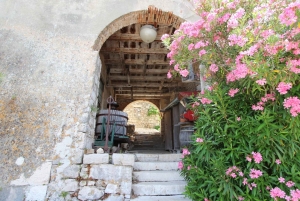 Zadar: Ugljan, Ošljak ja Preko – pikaveneretki saarille