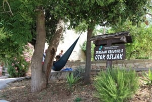 Zadar: Ugljan, Ošljak ja Preko – pikaveneretki saarille