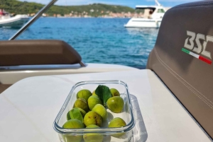 Zadar: Ugljan, Ošljak ja Preko – pikaveneretki saarille