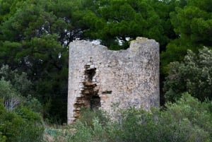 Zadar : Tour en bateau rapide des îles Ugljan, Ošljak et Preko