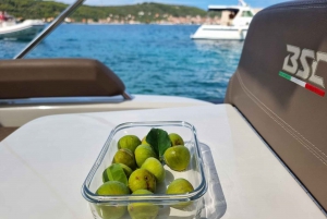 Zadar : Tour en bateau rapide des îles Ugljan, Ošljak et Preko