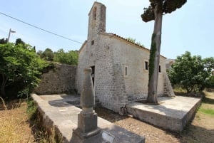 Zadar : Tour en bateau rapide des îles Ugljan, Ošljak et Preko