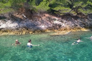 Zadar: Ugljan, Ošljak and Školjić Islands Private Boat Tour