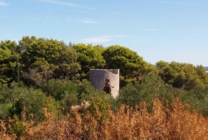 Zadar: Ugljan, Ošljak and Školjić Islands Private Boat Tour