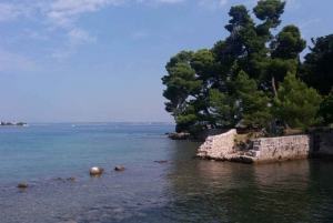 Zadar: Ugljan, Ošljak and Školjić Islands Private Boat Tour
