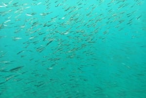 Zadar: żółta półpodwodna wycieczka