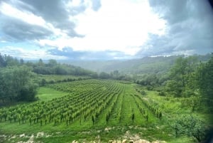 Zagreb: Viagem de 1 dia para degustação de vinhos de Hrastje Plešivičko
