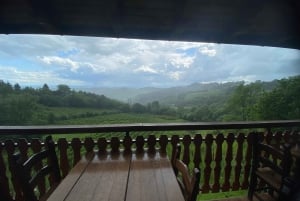 Zagreb: Viagem de 1 dia para degustação de vinhos de Hrastje Plešivičko