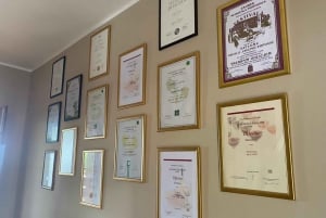 Zagreb: Viagem de 1 dia para degustação de vinhos de Hrastje Plešivičko