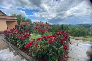 Zagreb: Viagem de 1 dia para degustação de vinhos de Hrastje Plešivičko