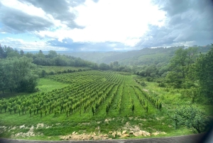 Zagreb: Dagsutflykt med vinprovning i Hrastje Plešivičko