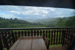 Zagreb: Dagsutflykt med vinprovning i Hrastje Plešivičko