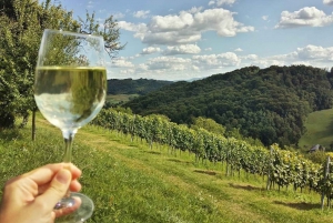 Zagreb: Plesivica Hills and Samobor Tour with Wine Tasting