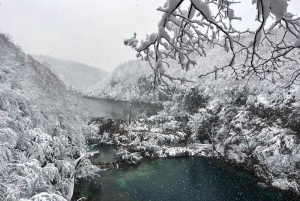 Zagrzeb: Jeziora Plitwickie z biletem i wycieczką do Rastoke dla maks. 8 osób