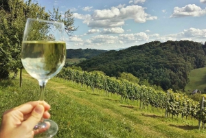 Zagreb: Trakoscan Castle Tour with Wine Tasting