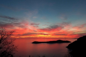 Dubrovnik: Zipline Coastal Adventure