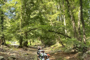 1-hour quad bike excursion in the Alcantara Valley