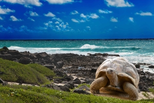 3-Day All-Inclusive Galápagos Tour by CIG Tours