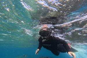 3-Day All-Inclusive Galápagos Tour by CIG Tours