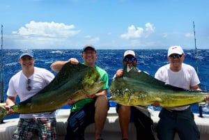 4 horas de pesca en alta mar desde punta cana