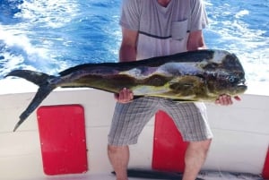 4 horas de pesca en alta mar desde punta cana