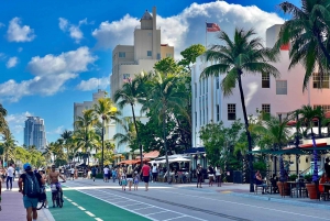 Excursión de 4 horas por la ciudad de Miami