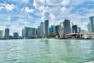 4 Hour Miami City Tour