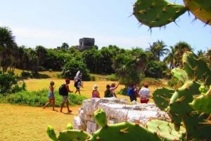 5x1 Deluxe: Tulum, Coba, Cenote & Playa Del Carmen