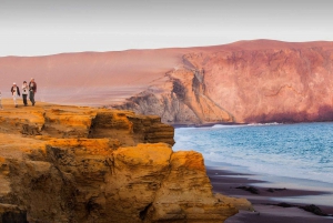 Aventura en quad y buggy en la Reserva Nacional de Paracas