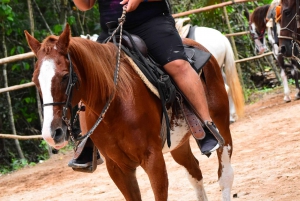 ATVS SINGLE & Horseback Riding Cancun & Playa del Carmen