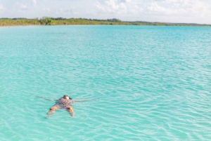 Bacalar: Excursión en grupo en velero con baño y bebidas