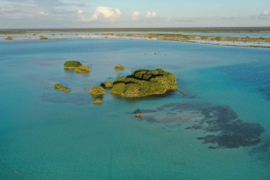 Bacalar: Excursión en grupo en velero con baño y bebidas