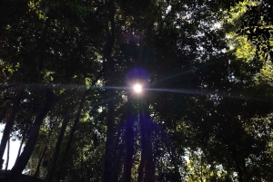 Bacalar: Ichkabal mayan temples & boat tour.