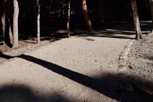 Bacalar: Ichkabal mayan temples & boat tour.