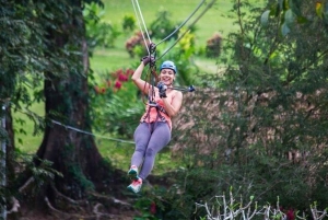 Belize: Thrilling Zipline Adventure at Bocawina Rainforest