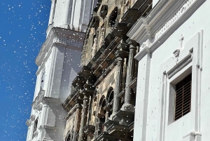 “Bike Tour Casco Viejo and Panama City Discover the Essence