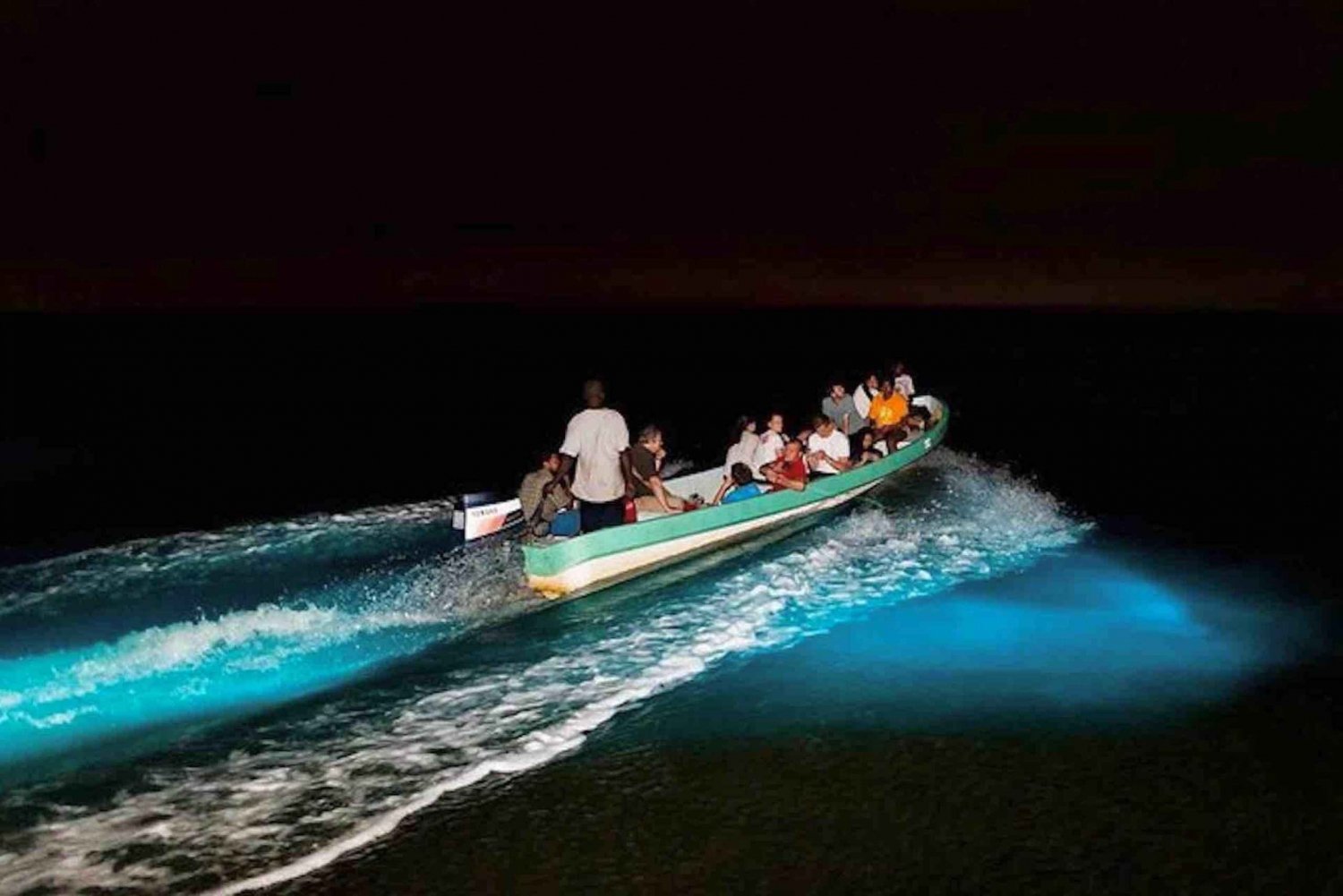 Bioluminescence Tour - Bocas del Toro