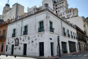 Buenos Aires: Belle Epoque Tour, 1900s Architecture and Life