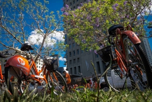 Buenos Aires Bike Tour: South or North Circuit