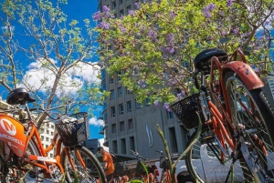 Buenos Aires Bike Tour: South or North Circuit