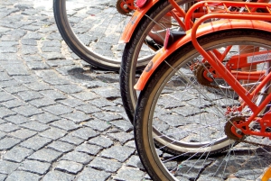 Buenos Aires Bike Tour: South or North Circuit