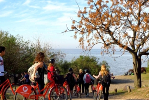 Buenos Aires Bike Tour: South or North Circuit
