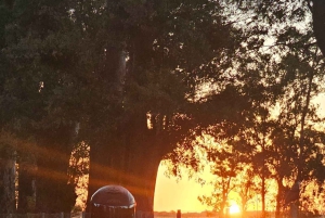 Buenos Aires: Guided Motorcycle Tour