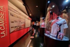 Buenos Aires: Hop-On Hop-Off Bus and Football Museums