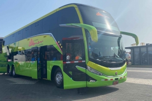 Autobús Cama Directo Puno Cusco