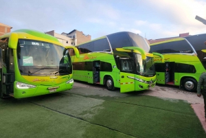 Autobús Cama Directo Puno Cusco